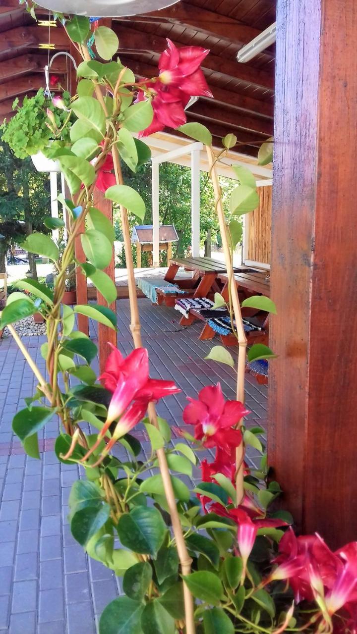 Hotel Kristaly Vendeghaz Bogács Zewnętrze zdjęcie